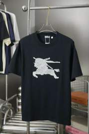 Picture of Burberry T Shirts Short _SKUBurberryS-XLhgntx7519548